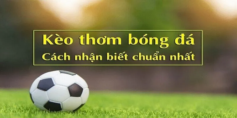 Dữ liệu từng đội bóng là tư liệu tốt nhất khi chơi kèo thơm